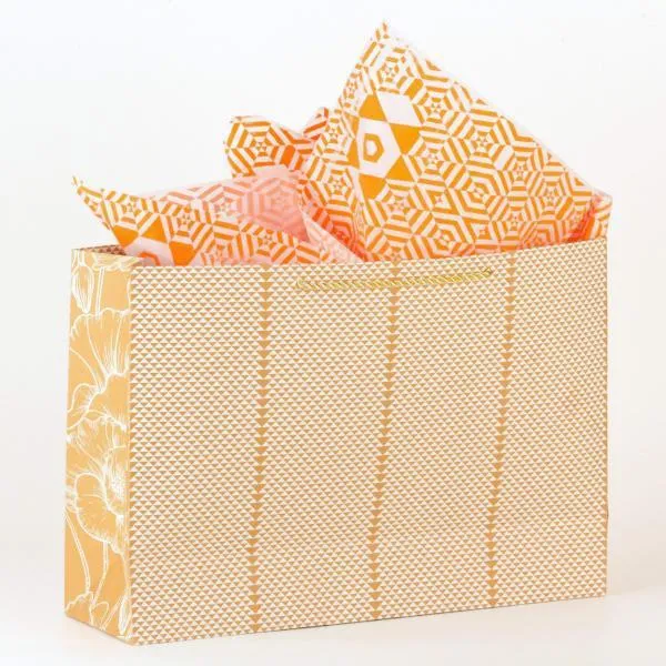 Triangle Design Kraft Gift Bag